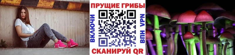 Псилоцибиновые грибы GOLDEN TEACHER  блэк спрут ссылки  Томск 